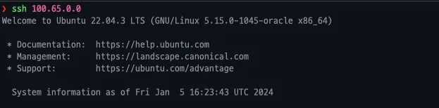 Tailscale을 이용한 SSH 접속